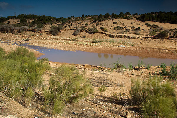 Marokko (Morocco)