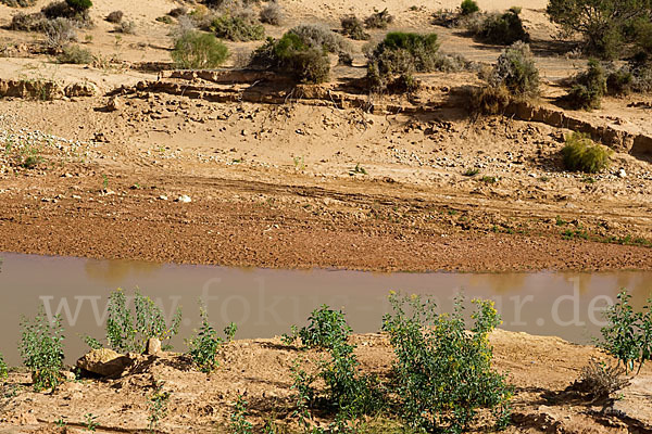 Marokko (Morocco)