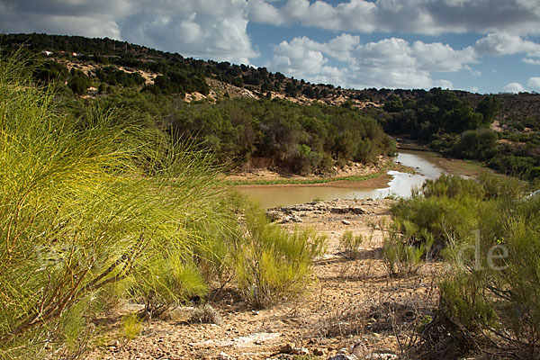 Marokko (Morocco)