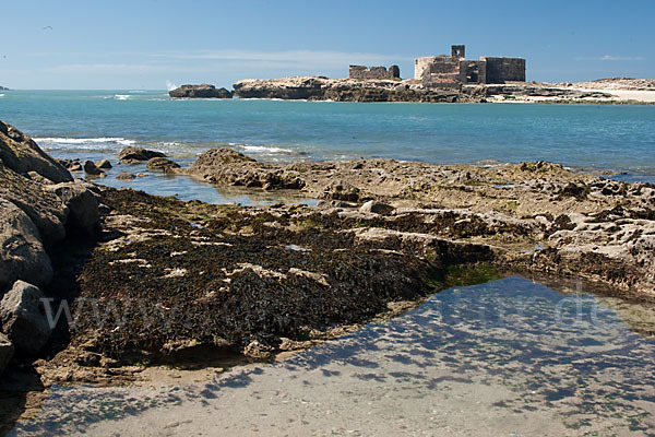 Marokko (Morocco)