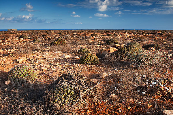 Marokko (Morocco)