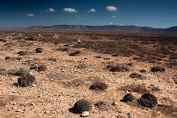 Marokko (Morocco)