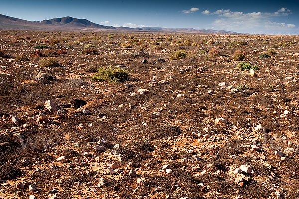 Marokko (Morocco)