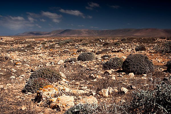 Marokko (Morocco)