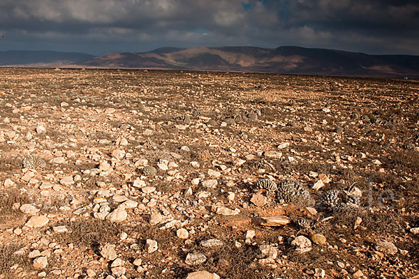 Marokko (Morocco)