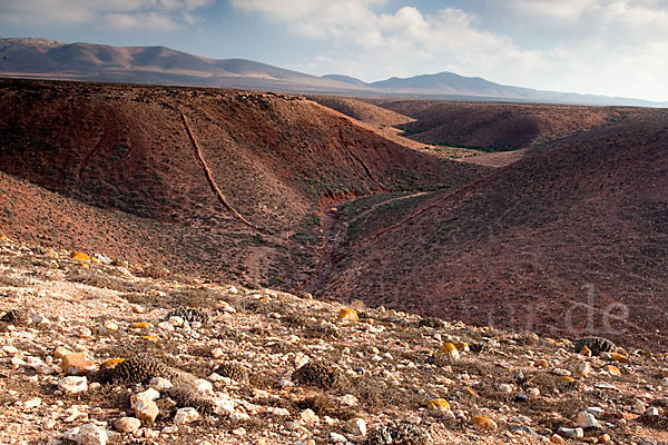 Marokko (Morocco)