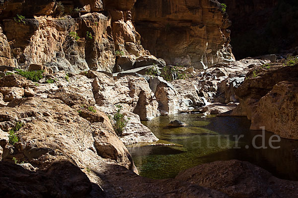 Marokko (Morocco)