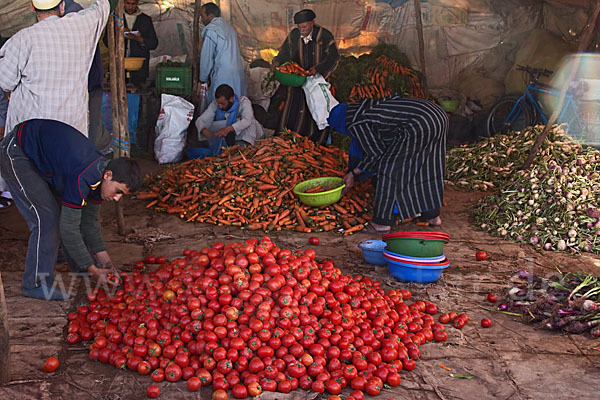 Marokko (Morocco)