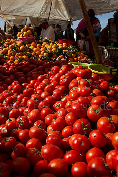 Marokko (Morocco)