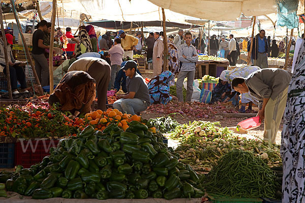 Marokko (Morocco)