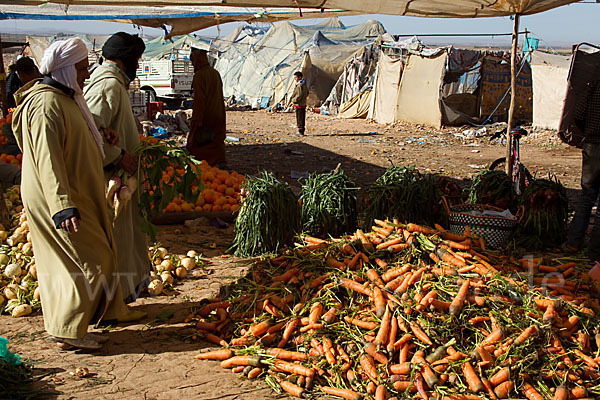 Marokko (Morocco)