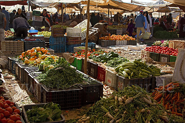 Marokko (Morocco)