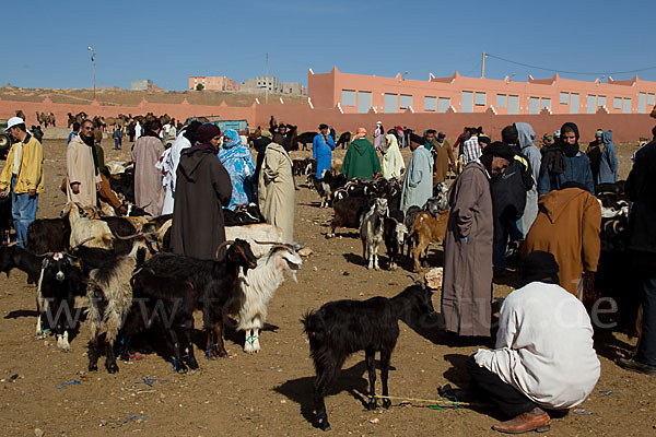 Marokko (Morocco)