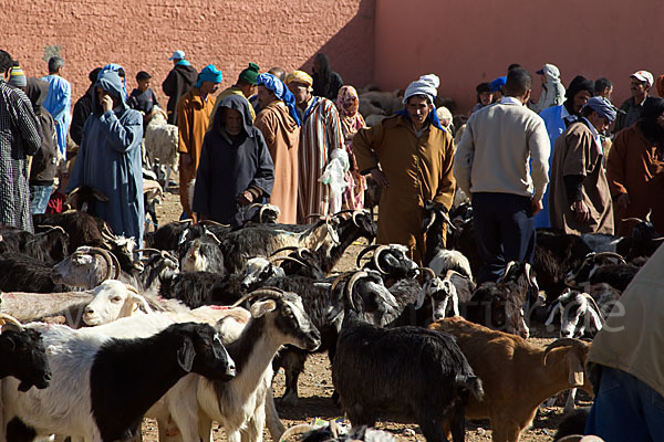 Marokko (Morocco)