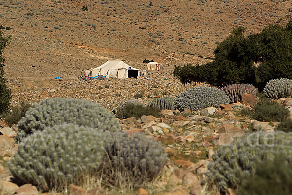 Marokko (Morocco)