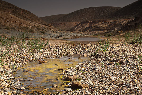 Marokko (Morocco)