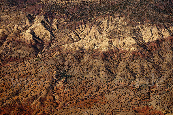 Marokko (Morocco)