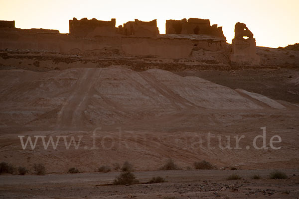 Marokko (Morocco)