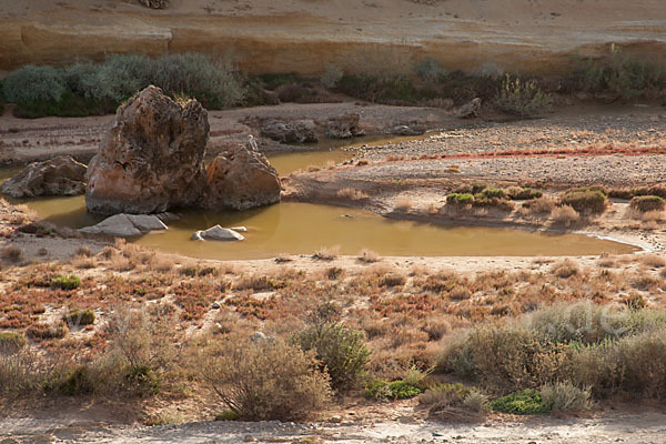 Marokko (Morocco)