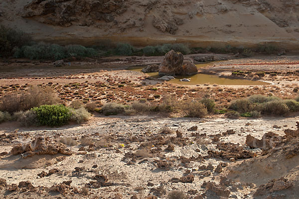 Marokko (Morocco)