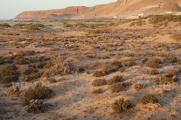 Marokko (Morocco)