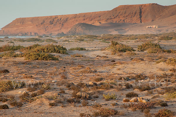 Marokko (Morocco)