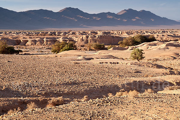 Marokko (Morocco)