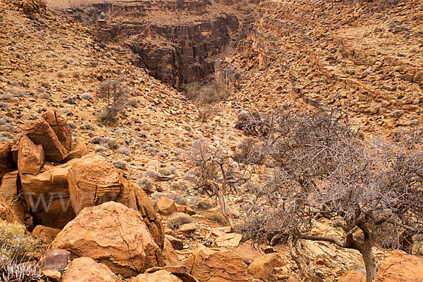 Marokko (Morocco)