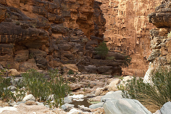 Marokko (Morocco)