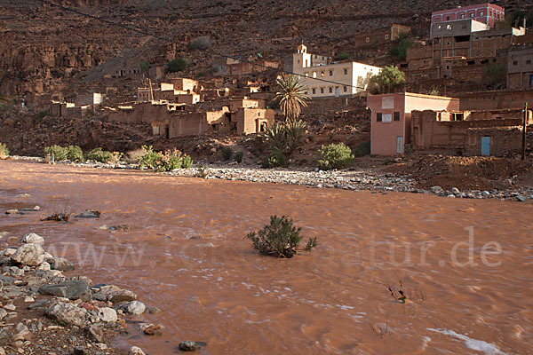 Marokko (Morocco)