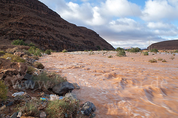 Marokko (Morocco)