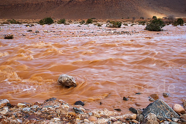 Marokko (Morocco)