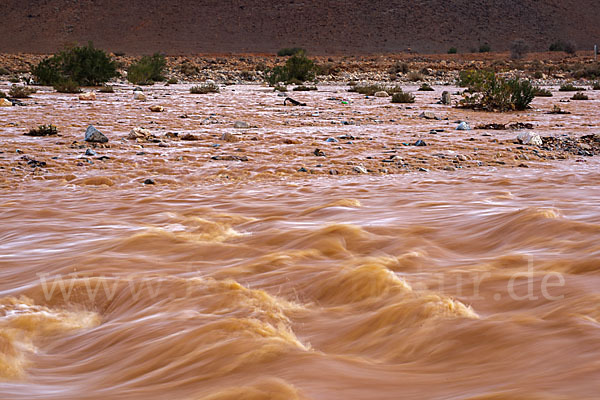 Marokko (Morocco)