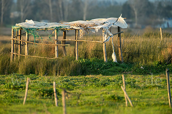 Marokko (Morocco)