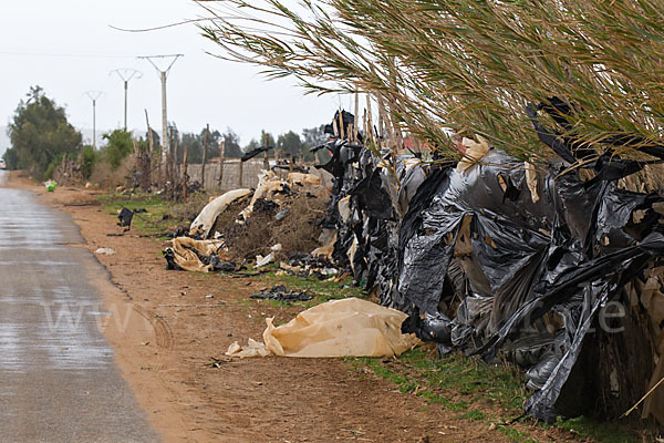 Marokko (Morocco)