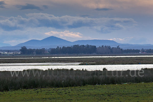 Marokko (Morocco)