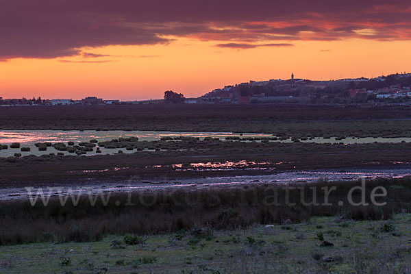 Marokko (Morocco)