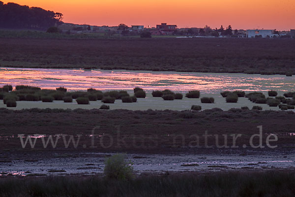 Marokko (Morocco)