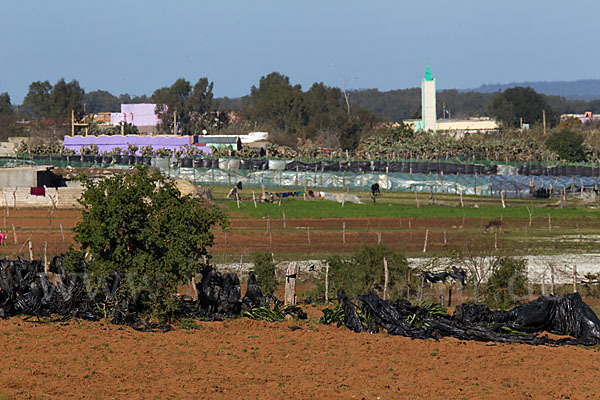 Marokko (Morocco)