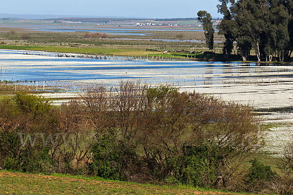 Marokko (Morocco)