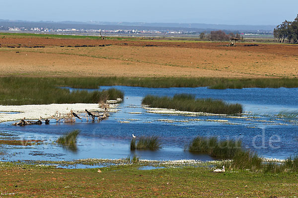 Marokko (Morocco)