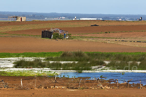 Marokko (Morocco)