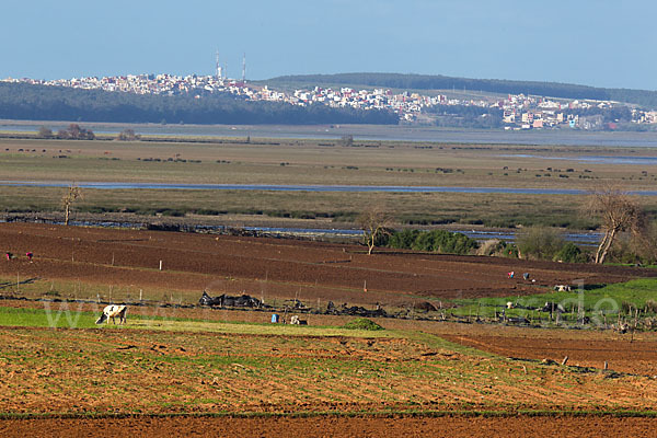 Marokko (Morocco)