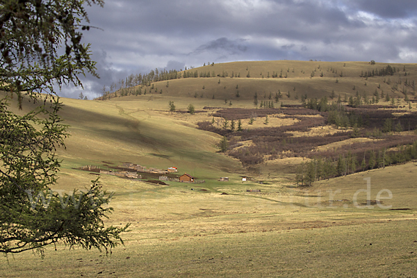 Mongolei (Mongolia)