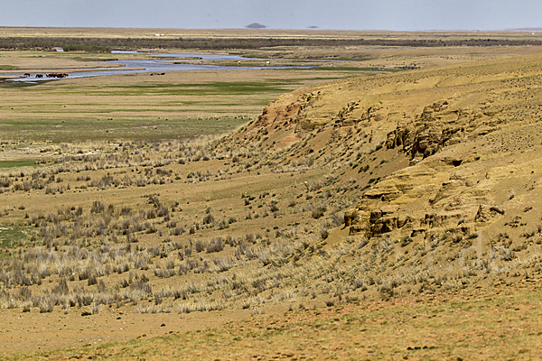 Mongolei (Mongolia)