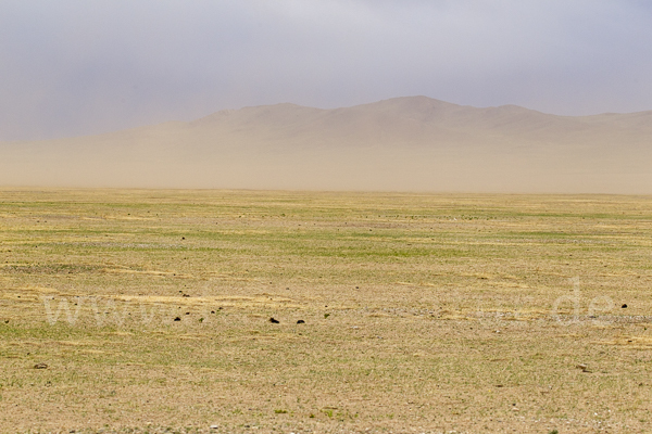 Mongolei (Mongolia)