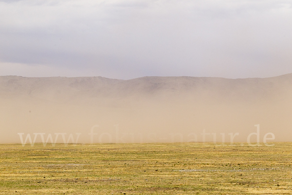 Mongolei (Mongolia)