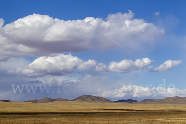 Mongolei (Mongolia)