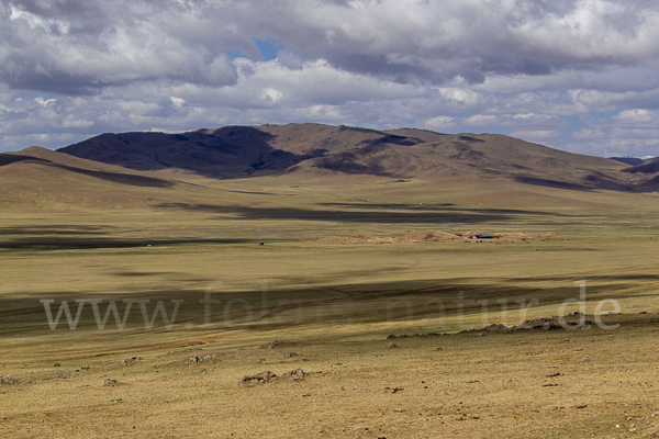 Mongolei (Mongolia)