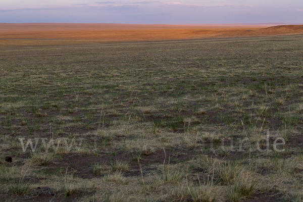 Mongolei (Mongolia)